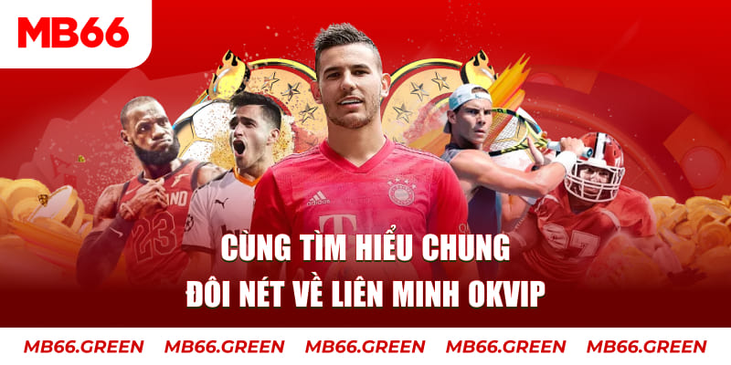 Cùng tìm hiểu chung đôi nét về liên minh OKVIP